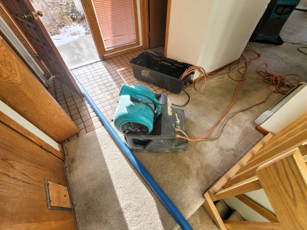 Best Water damage contractors near me  in La Honda, CA