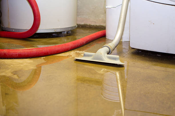 Best Flood restoration services  in La Honda, CA
