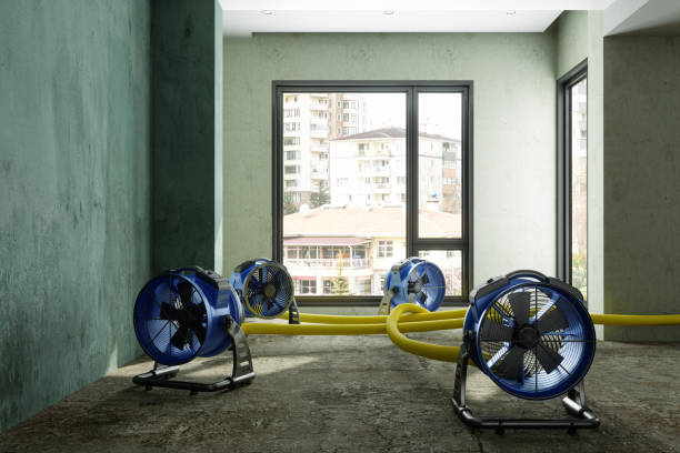 Best Water damage contractors near me  in La Honda, CA